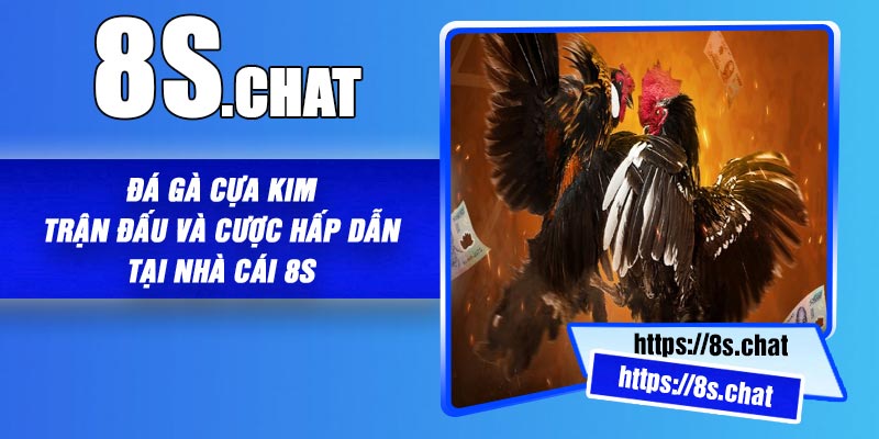Đá Gà Cựa Kim – Trận Đấu Và Cược Hấp Dẫn Tại Nhà Cái 8S