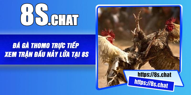 Đá Gà Thomo Trực Tiếp – Xem Trận Đấu Nảy Lửa Tại 8S
