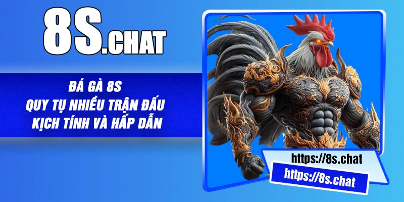 Đá gà 8S - Quy tụ nhiều trận đấu kịch tính và hấp dẫn